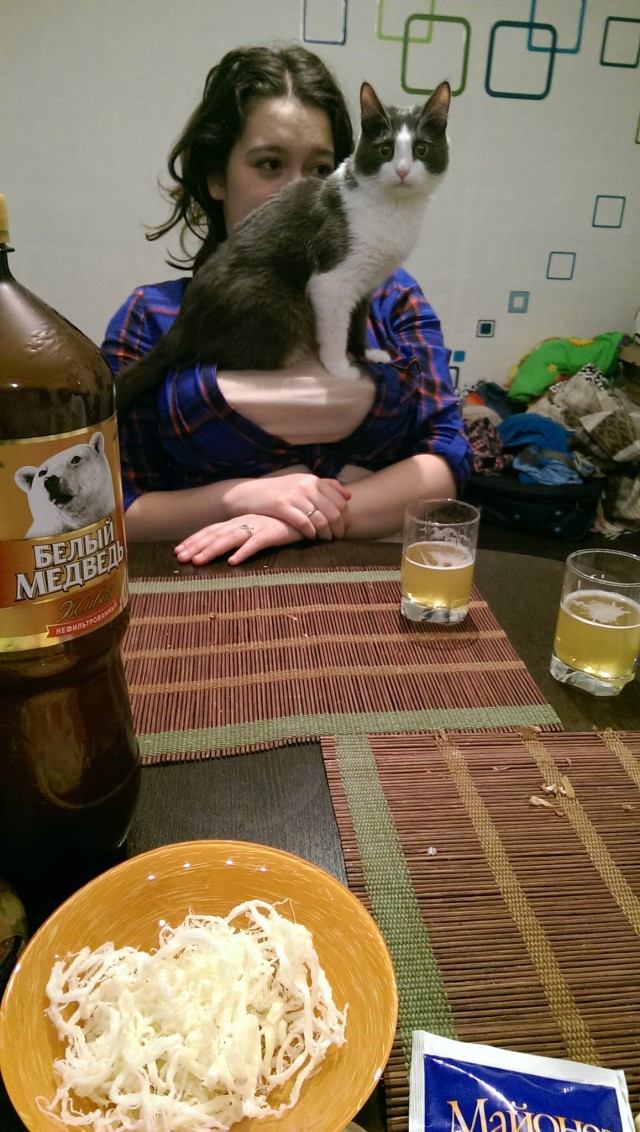 Забавные фото котеек