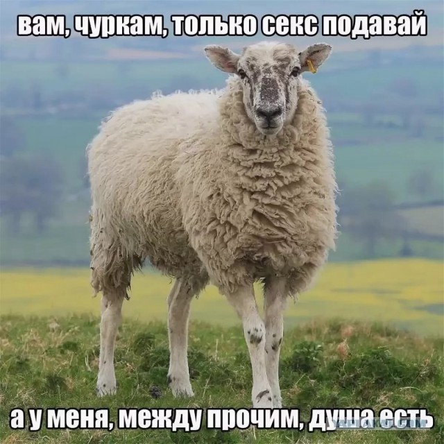 Неожиданный финал разговора