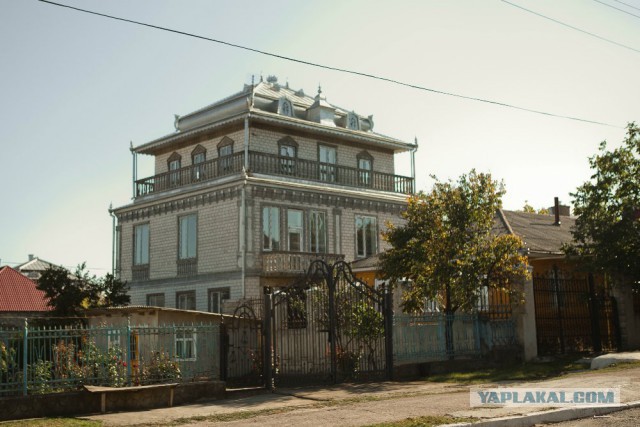 В парниковых условиях: полиция Волгограда нагрянула в китайские теплицы со смертельными помидорами
