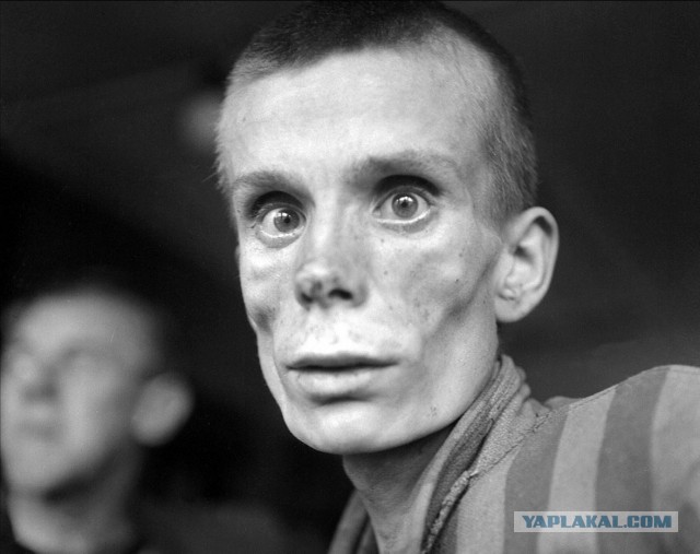«Убивать пленных немцев — добро». 75 лет назад американцы вырезали охранников концлагеря Дахау