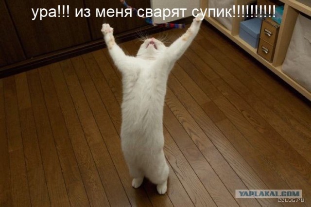 Простое человеческое счастье в картинках