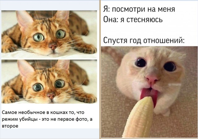 Картинки разные 10.01.21