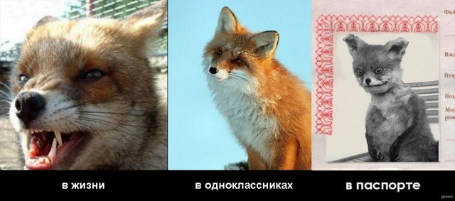 Таксидермия + наркомания