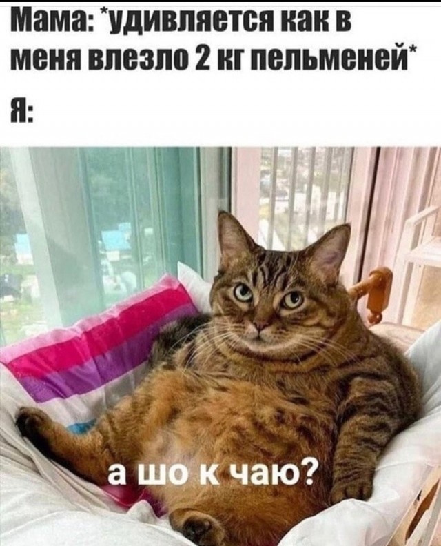 Теперь только этот корм
