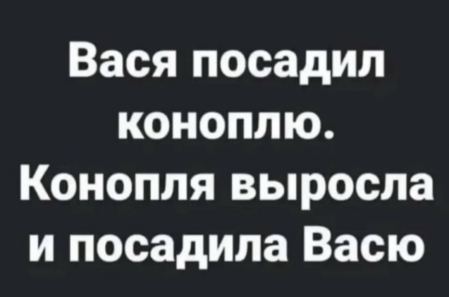 Так себе картинки 28.08.21