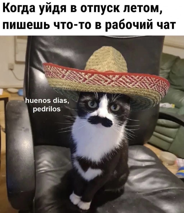 Птички-невелички, налетай