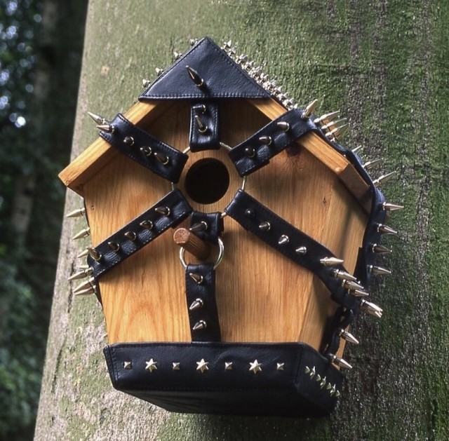 Голуби СТОП!