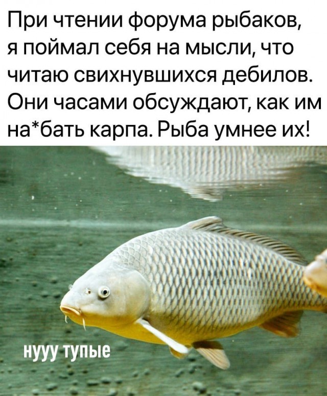 Юмор и прикольные картинки 11.10.2021