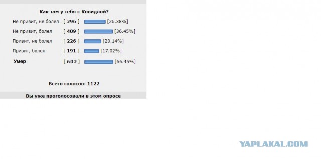 Статистика Ковидлы по ЯП