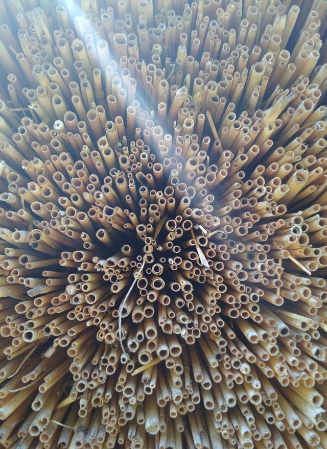 Мое небольшое увлечение. Мобильная фотография