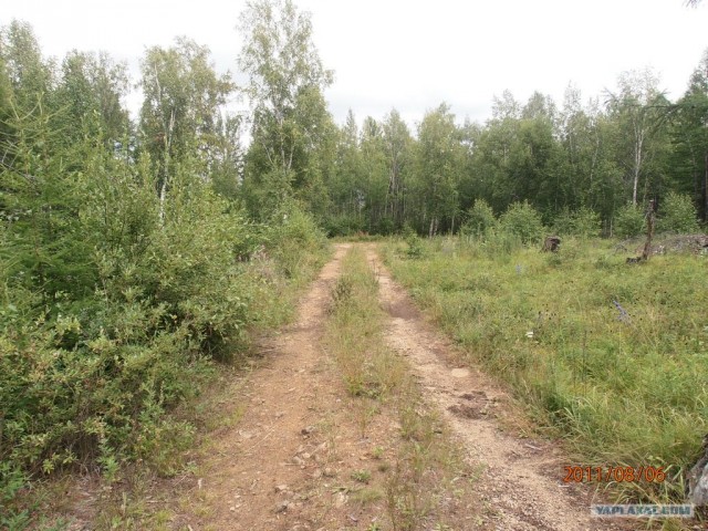 Природа Забайкалья