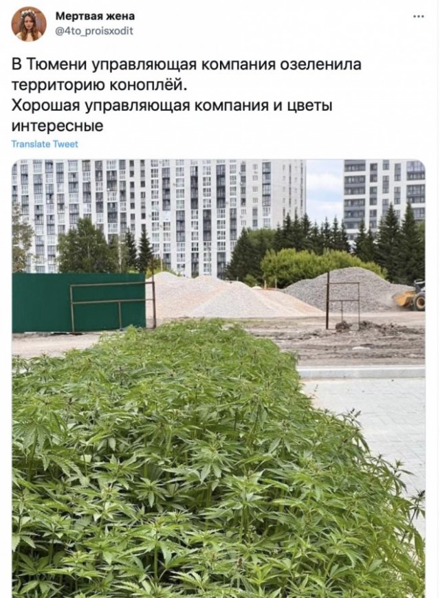 Картинки и мемы для настроения - 29