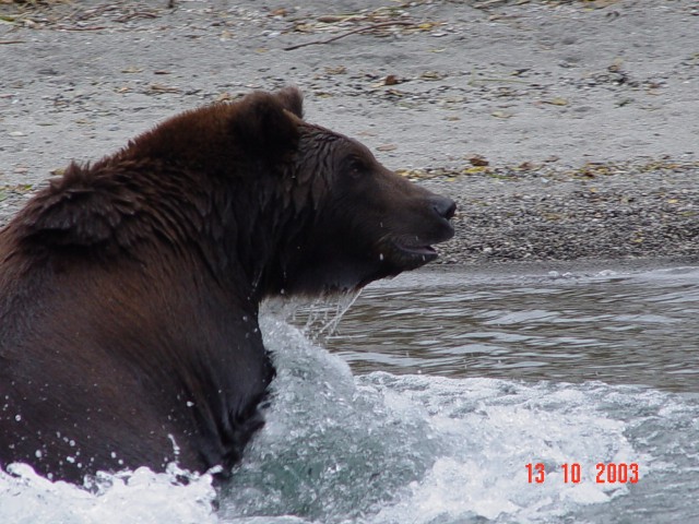 Петропавловск-Камчатский и его окрестности...