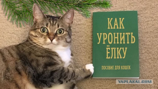 Как же она завораживает