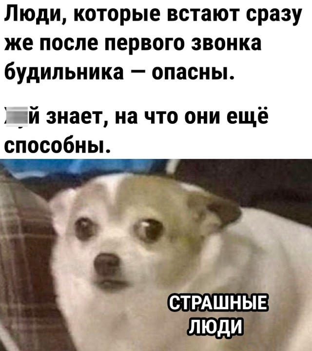 Так себе картинки 07.01.2023