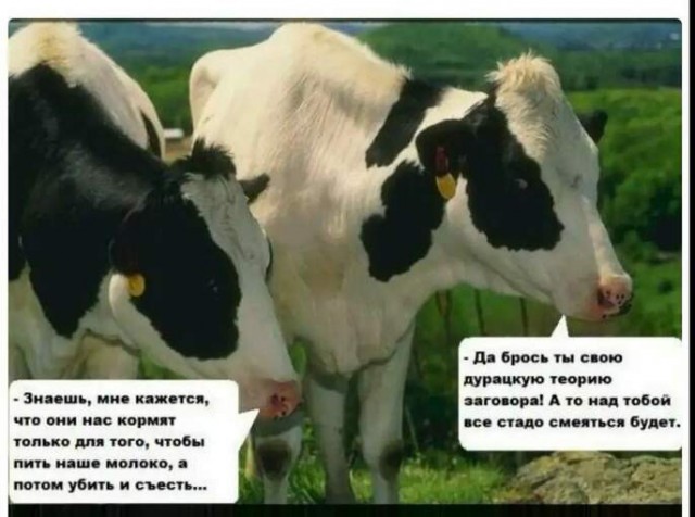 Хозяева Ватикана