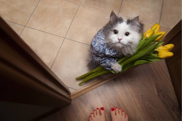ЯПовки и ЯПовчанки, с праздником!