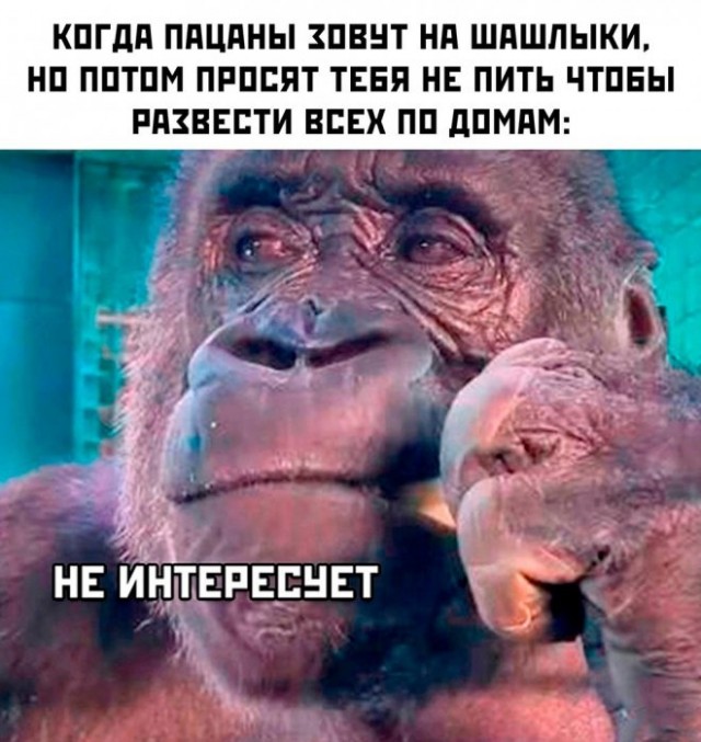 Картинки и мемы, всем хороших выходных