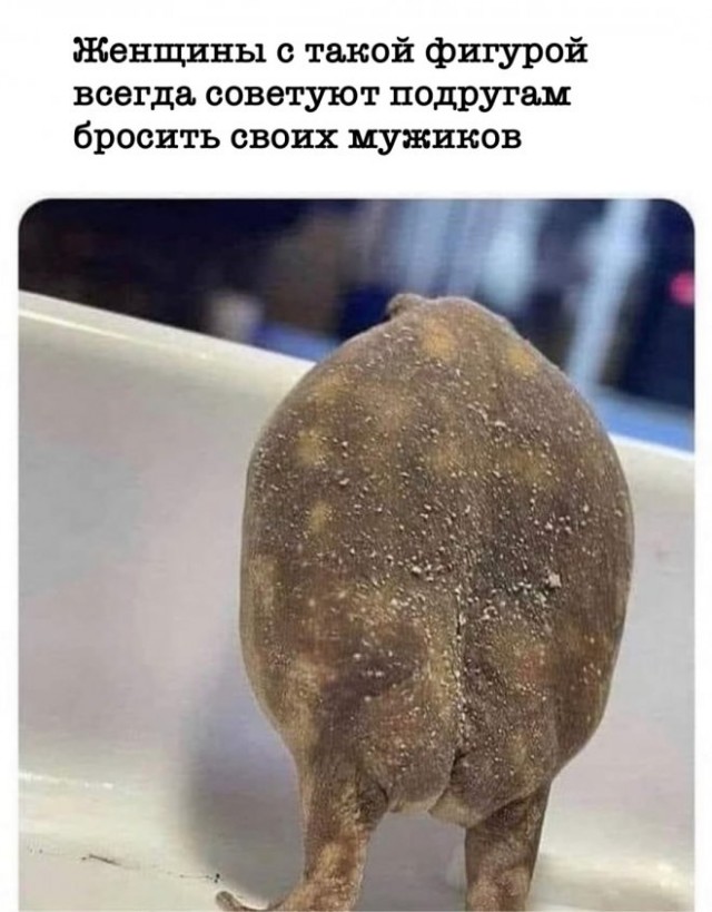 Картинки и мемы для настроения - 137