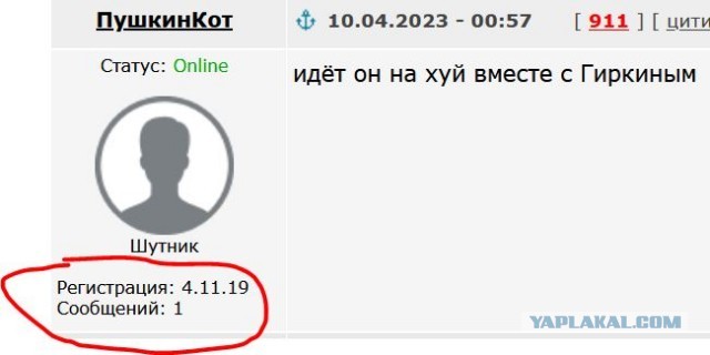 В почти в 2-х словах, кто такой Стрелков и почему верхи его поносят.