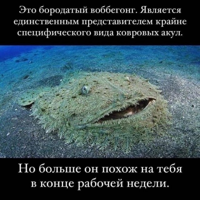Немного картинок для настроения - 161