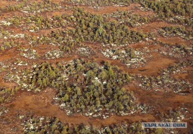 Сибирские перекрёстки