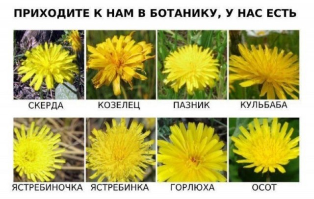 Отмена деградации ІІІ. Околонаучные картинки