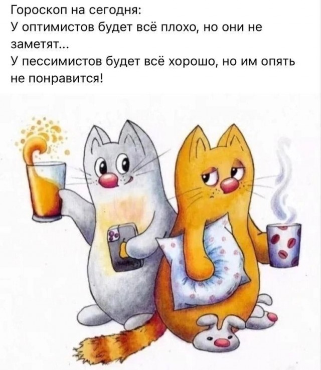 Весёлый полтишок 10.10.23