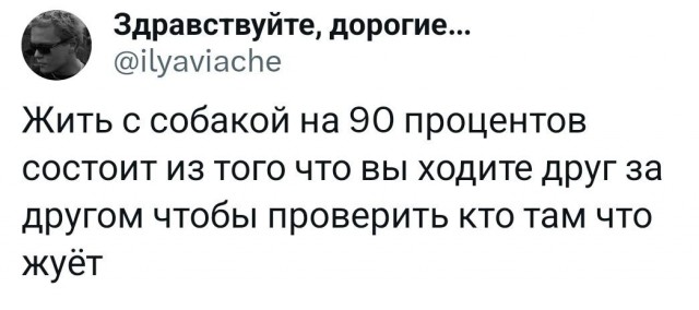 И с кошкой >.<⁠⁠