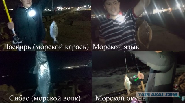 Рукож...пый горожанин в Африке. Часть 1. Рыбалка на Атлантическом океане в Марокко.