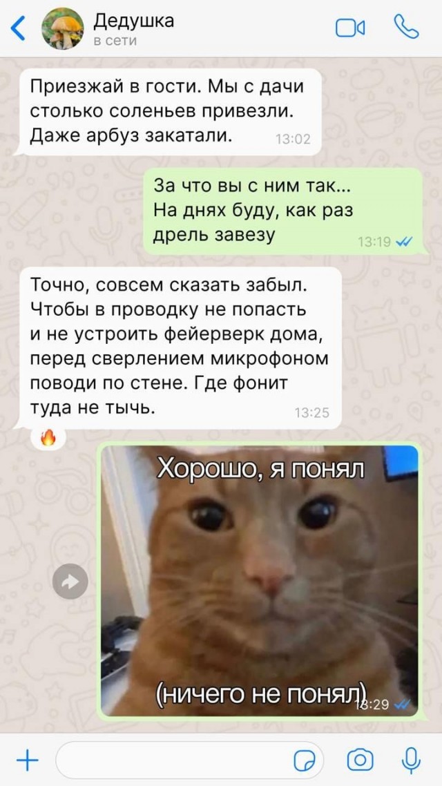 Советы от дедушки на все случаи жизни