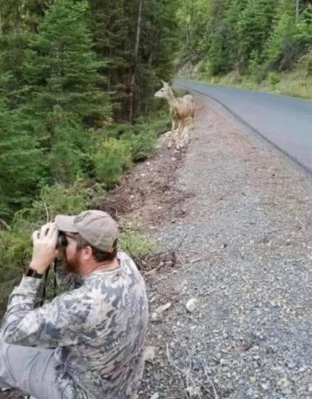 ФотоВинегрет