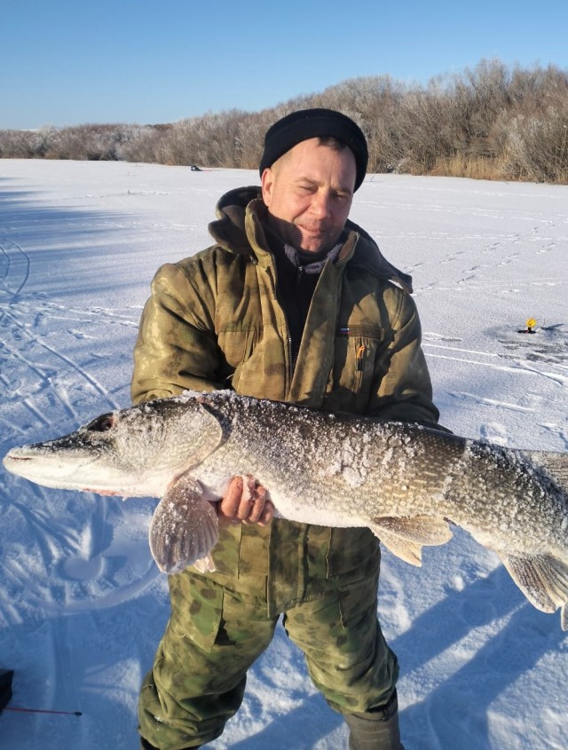 На зимней рыбалке неожиданно клюнул тот, кого не ждали