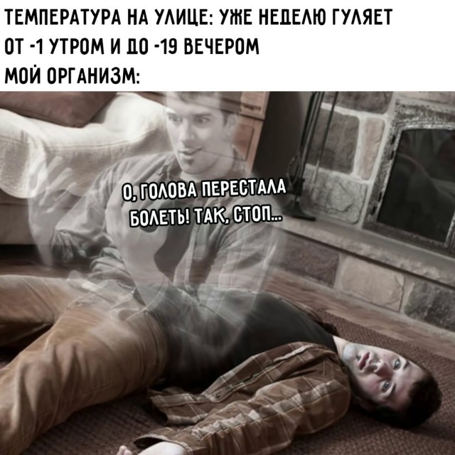 Весёлый полтишок 23.01.25