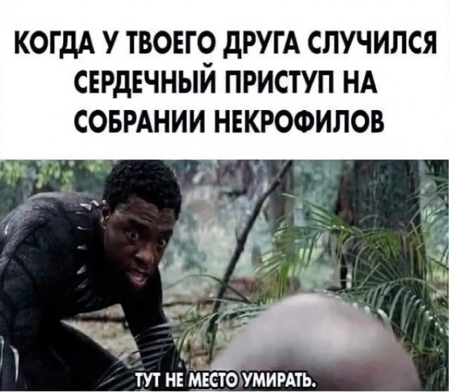 Так себе картинки 31.01.25