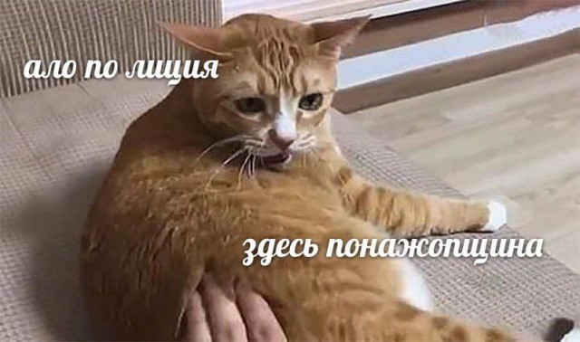 From the archives. Часть первая.