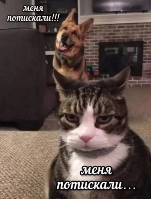 С бабами так же