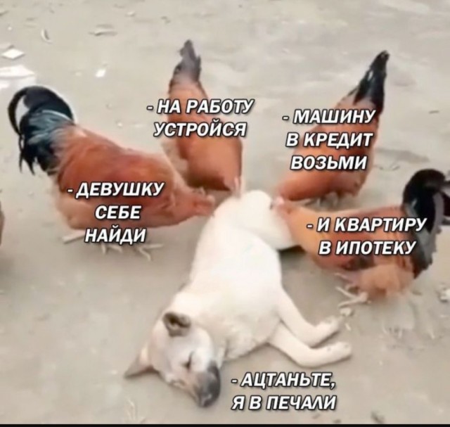 Так себе картинки 20.08.25