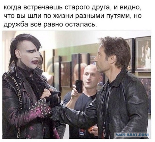 Картинки для деградации 43 (разной степени свежести)
