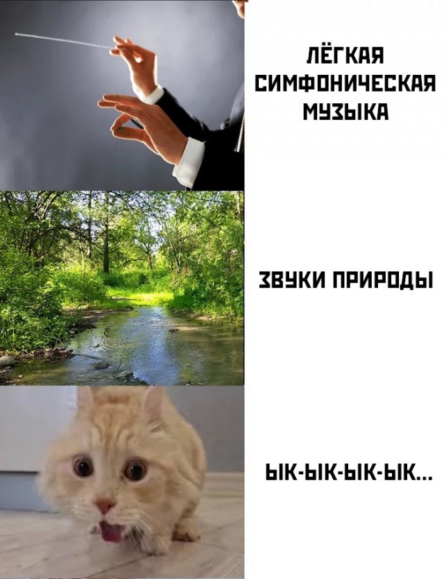 Смешнявых и не очень картинков пост