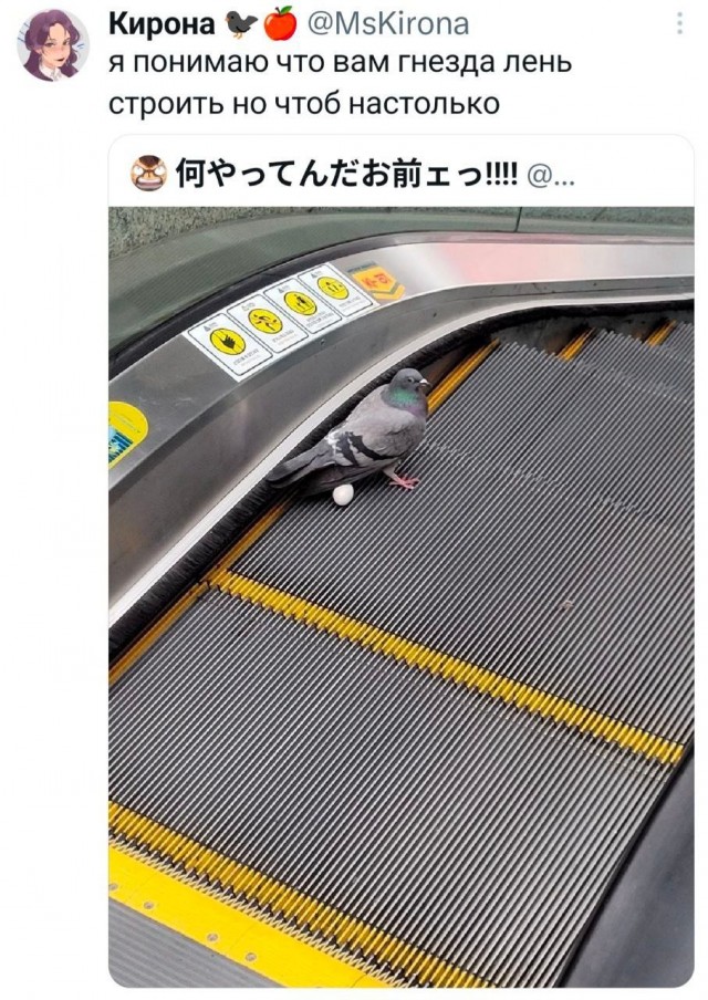 Не долетела...