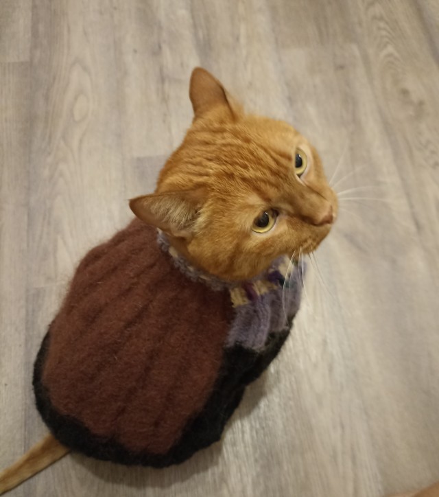 Оглянись, незнакомый прохожий