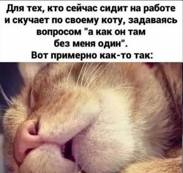 Все так