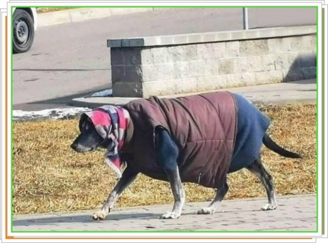 Пятница . Картинки
