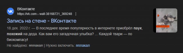 Милота дня