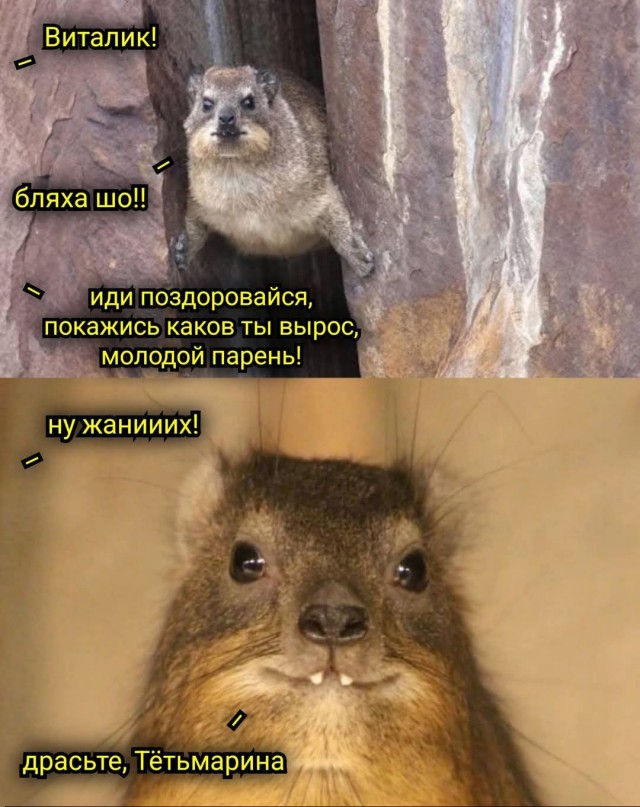 Воскресные картинки