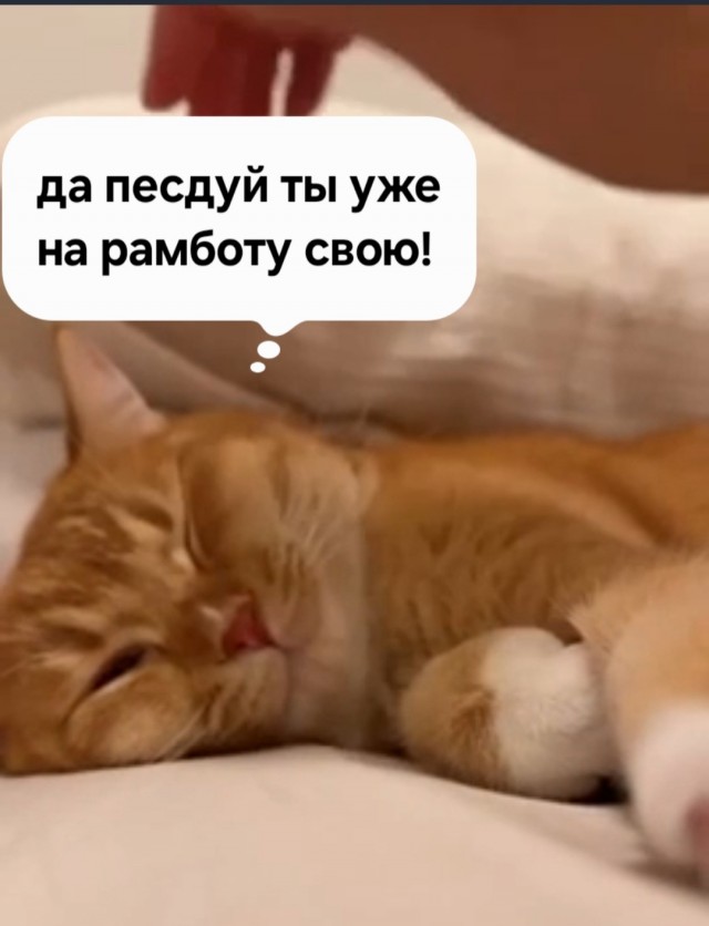 Это что еще такое с утра?