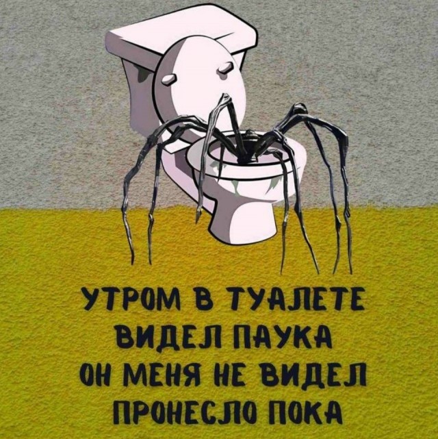 Тема дня