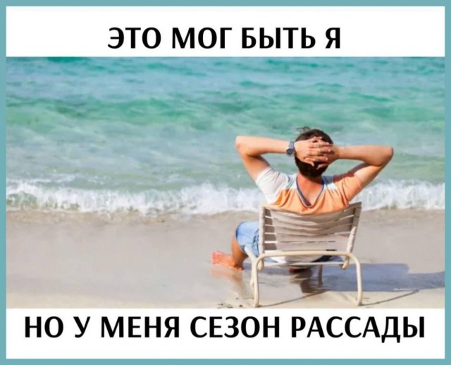 Среды картинки