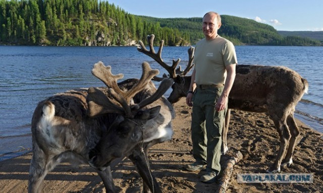 Путин поймал щуку весом 21 кг
